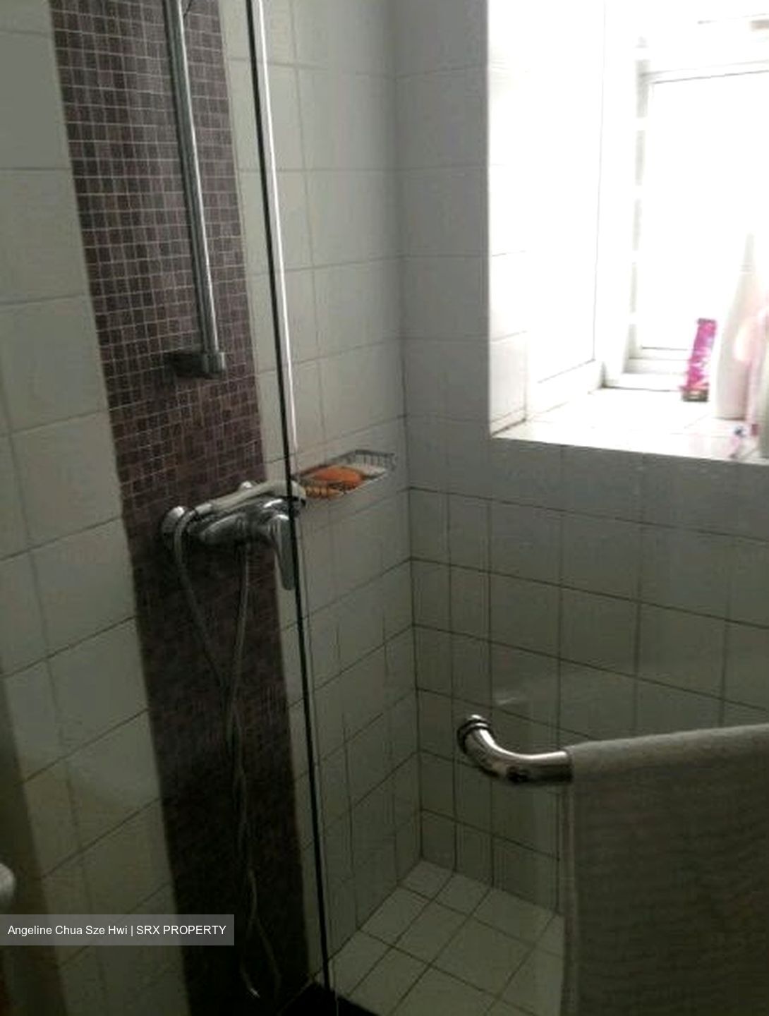 Dahlia Park Condominium (D17), Condominium #606295951